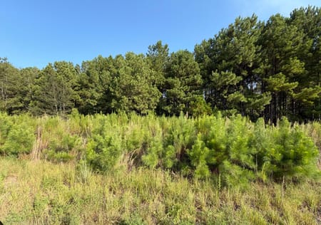Stapleton, GA 30823 Jefferson County