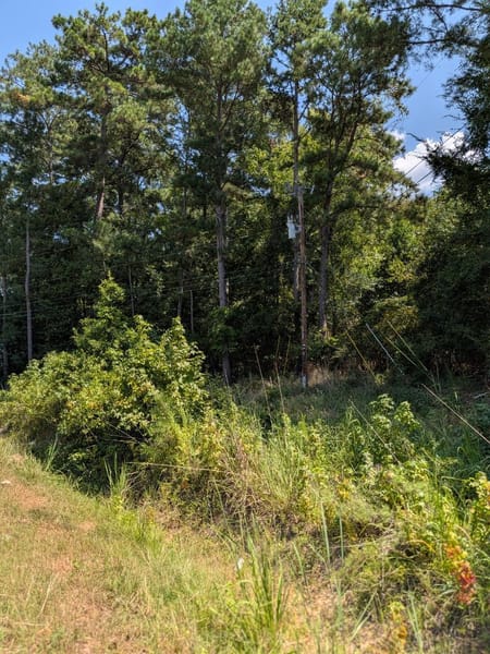 Milledgeville, GA 31061 Baldwin County