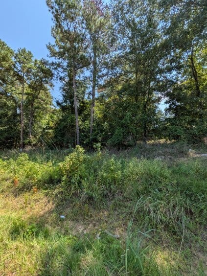 Milledgeville, GA 31061 Baldwin County
