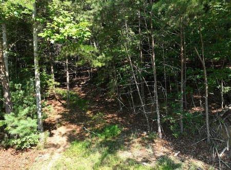 Blairsville, GA 30512 Union County