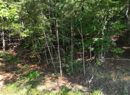 Blairsville, GA 30512 Union County