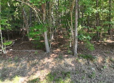 Blairsville, GA 30512 Union County