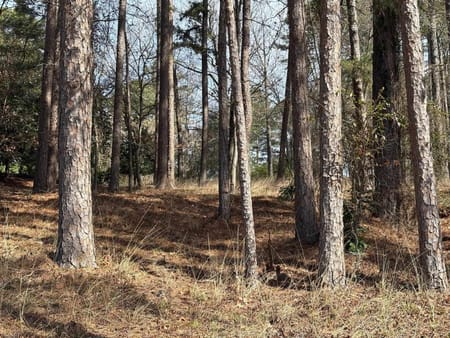 Greensboro, GA 30642 Greene County