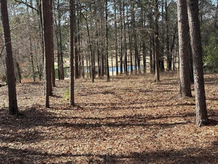 Greensboro, GA 30642 Greene County