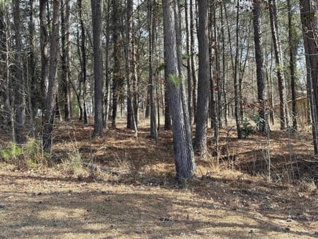 Greensboro, GA 30642 Greene County