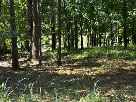 Greensboro, GA 30642 Greene County