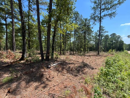 Forsyth, GA 31029 Monroe County