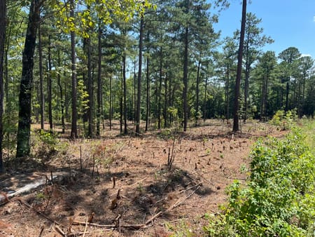 Forsyth, GA 31029 Monroe County