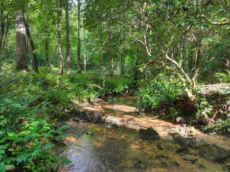 Ellijay, GA 30540 Gilmer County