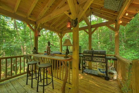 Ellijay, GA 30540 Gilmer County
