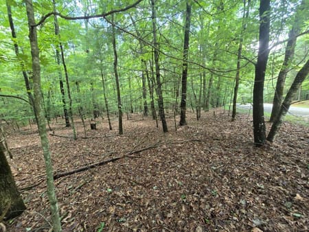 Ellijay, GA 30536 Gilmer County