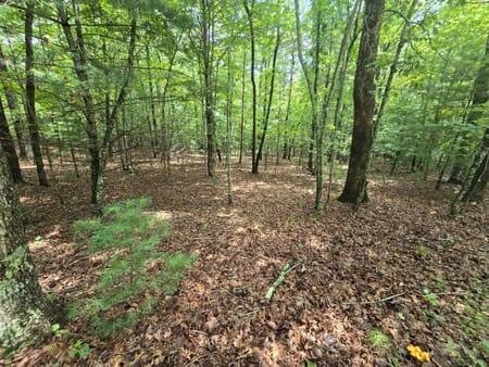 Ellijay, GA 30536 Gilmer County
