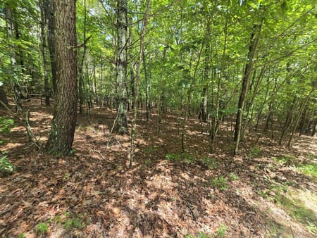 Ellijay, GA 30536 Gilmer County