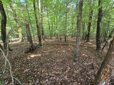 Ellijay, GA 30536 Gilmer County