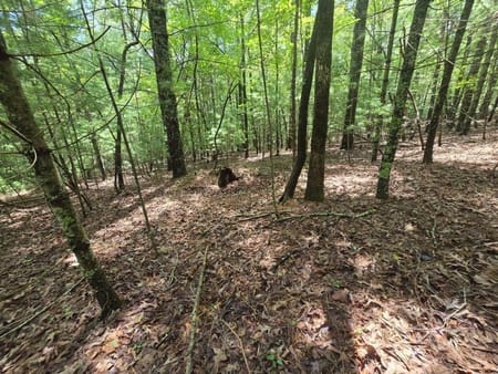 Ellijay, GA 30536 Gilmer County