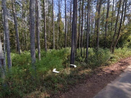 Bowdon, GA 30108 Carroll County