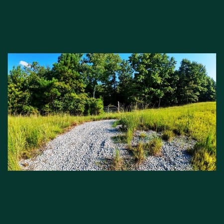 Tignall, GA 30668 Lincoln County