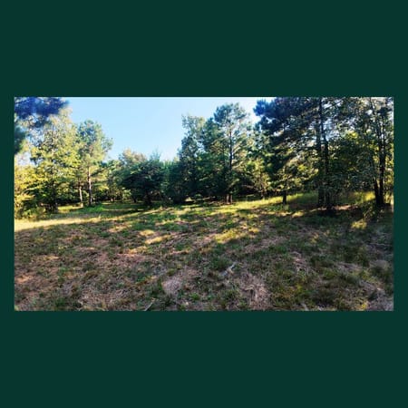 Tignall, GA 30668 Lincoln County
