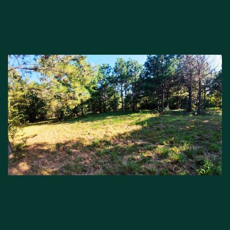 Tignall, GA 30668 Lincoln County