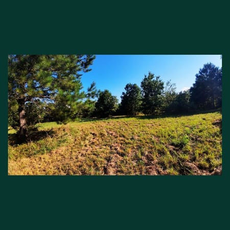 Tignall, GA 30668 Lincoln County
