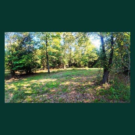 Tignall, GA 30668 Lincoln County