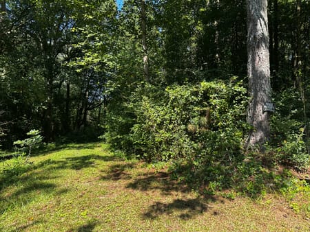 Temple, GA 30179 Haralson County