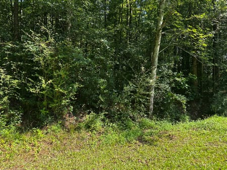 Temple, GA 30179 Haralson County