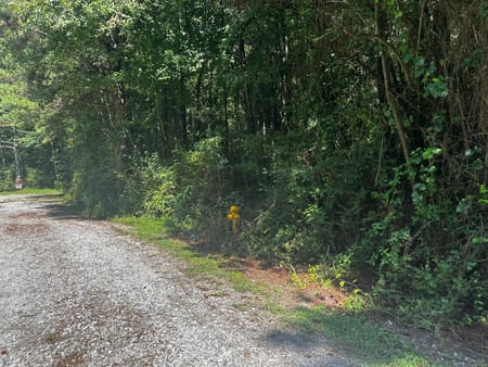 Temple, GA 30179 Haralson County