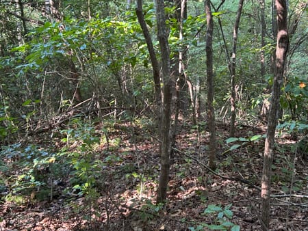 Baldwin, GA 30511 Habersham County