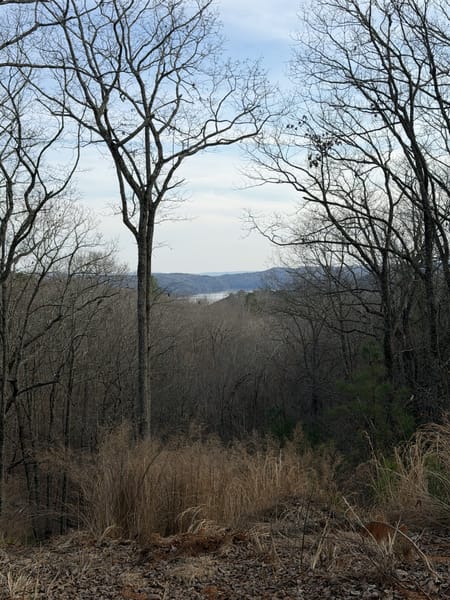 Ellijay, GA 30540 Gilmer County