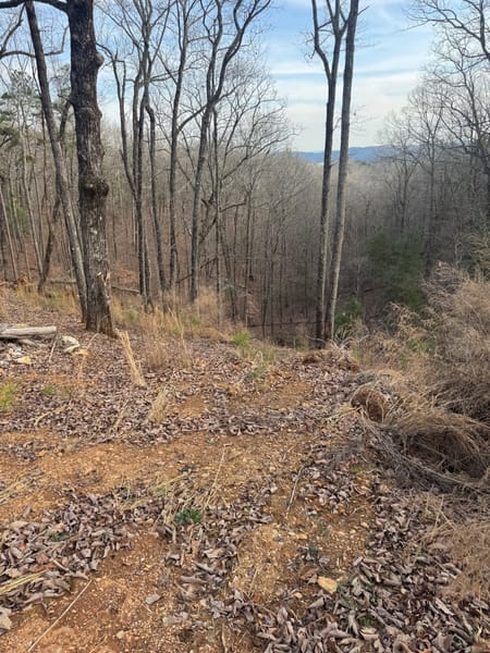 Ellijay, GA 30540 Gilmer County