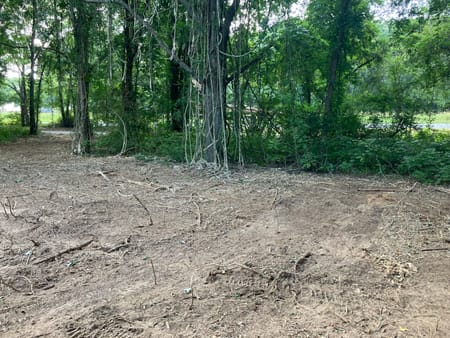Warm Springs, GA 31830 Meriwether County