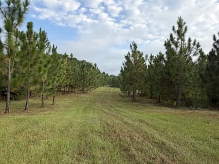 Pine Mountain, GA 31822 Troup County