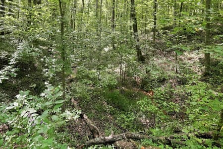 Monroe, GA 30656 Walton County