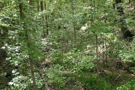 Monroe, GA 30656 Walton County