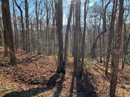 Clayton, GA 30525 Rabun County
