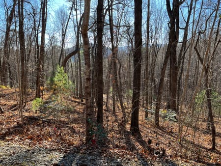 Clayton, GA 30525 Rabun County
