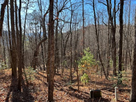 Clayton, GA 30525 Rabun County