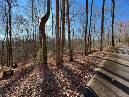 Clayton, GA 30525 Rabun County