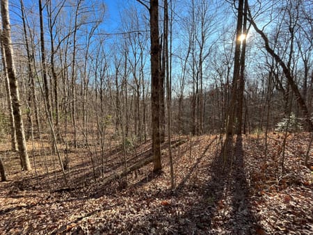 Clayton, GA 30525 Rabun County