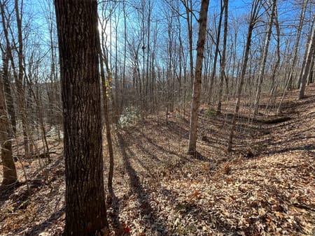 Clayton, GA 30525 Rabun County