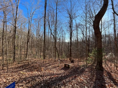 Clayton, GA 30525 Rabun County