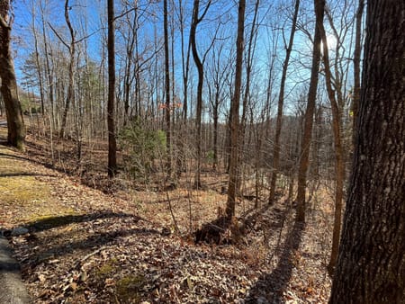 Clayton, GA 30525 Rabun County