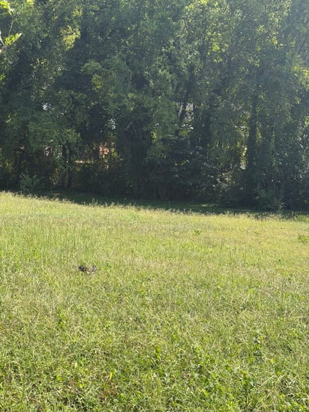 West Point, GA 31833 Troup County