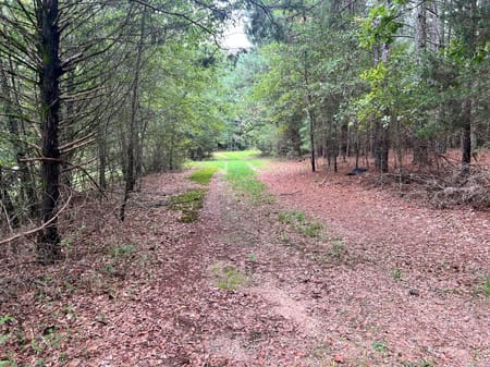 Winder, GA 30680 Barrow County