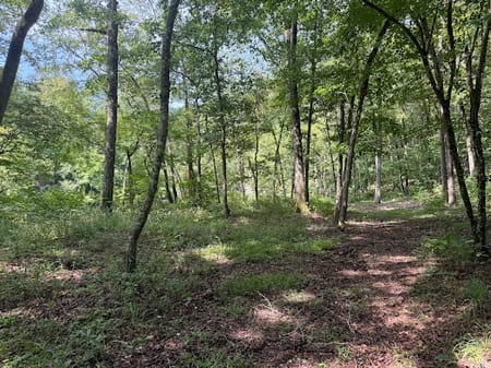 Talking Rock, GA 30175 Gilmer County