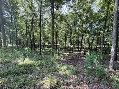 Talking Rock, GA 30175 Gilmer County