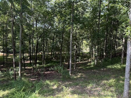 Talking Rock, GA 30175 Gilmer County