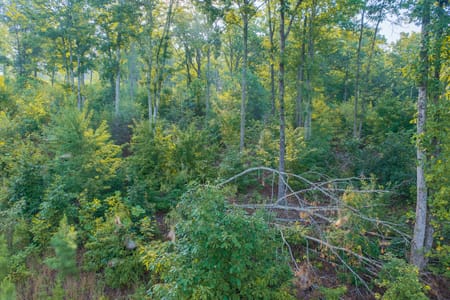 Talking Rock, GA 30175 Gilmer County