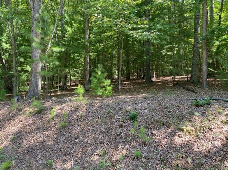 Blairsville, GA 30512 Union County